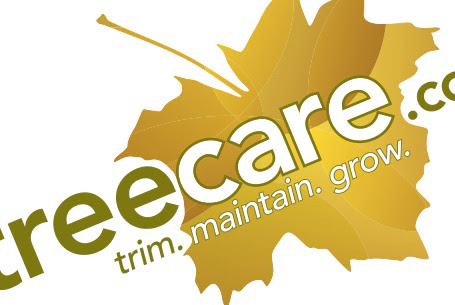 CK Tree Care – Logo Design