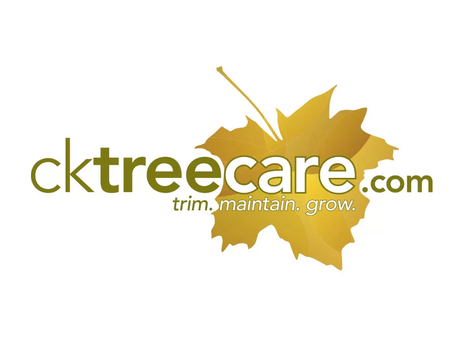 CK Tree Care – Logo Design